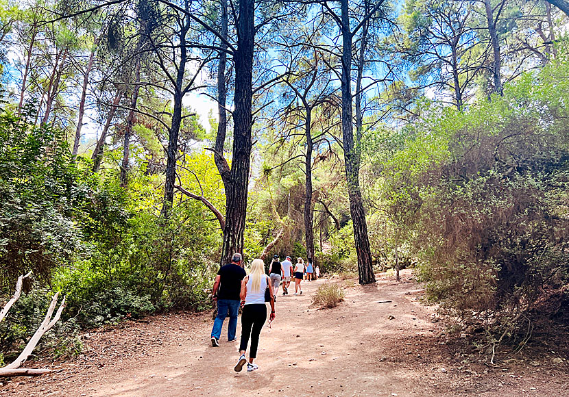 Epta Piges is located along the road to Lindos, quite close to Kolymbia.