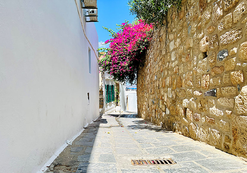 The alley that runs from Lindos village to Main beach and Pallas beach.