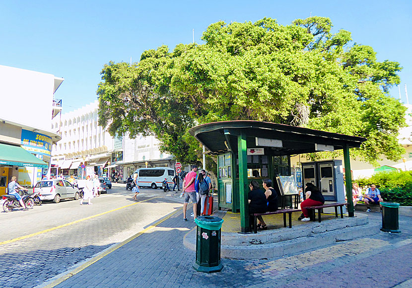 Bus station in Mandraki harbour in Rhodes town.