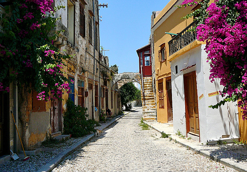 The untouristy parts of the old town of Rhodes.