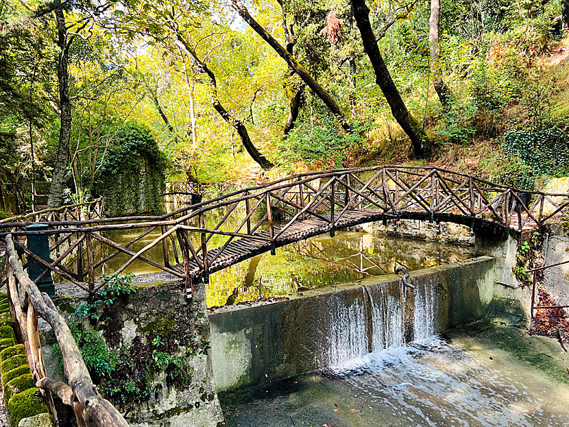 Waterfall in the Rodini Park in Rhodes.