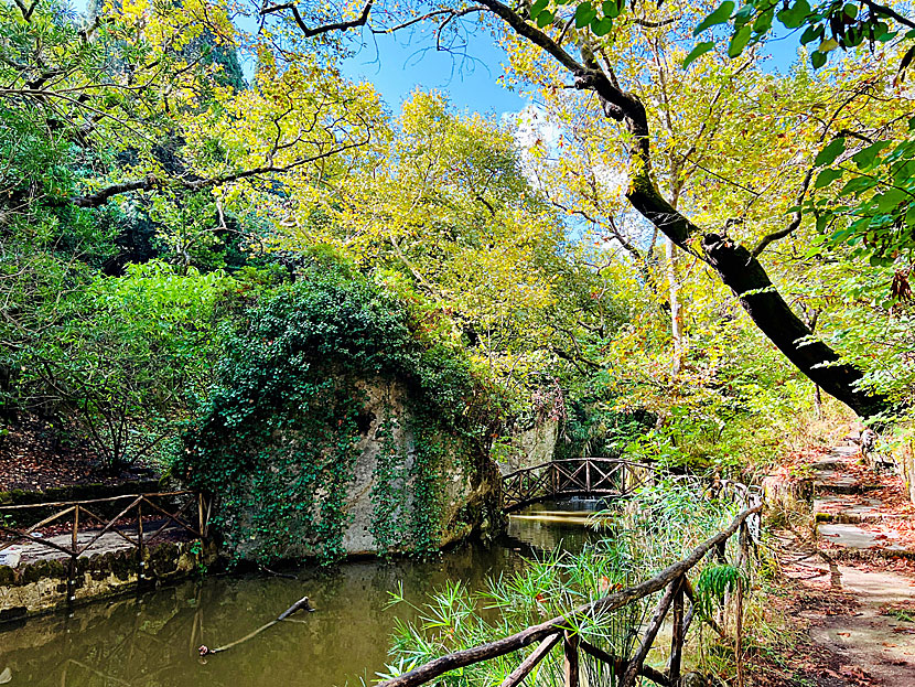 The Rodini park is a quiet oasis in the middle of Rhodes town. 