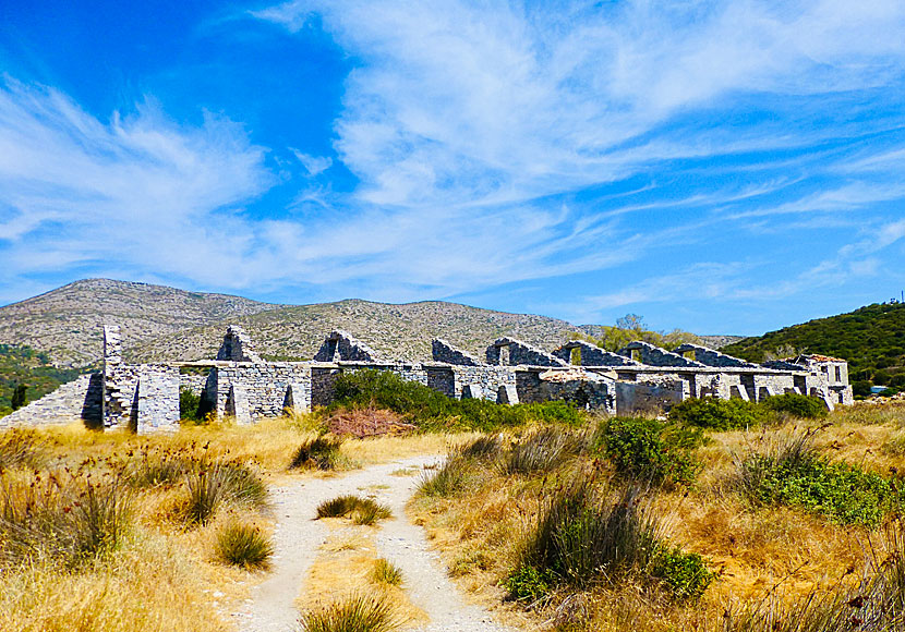 The wetland Alyki at Mykali beach on eastern Samos is an eldorado for bird watchers.