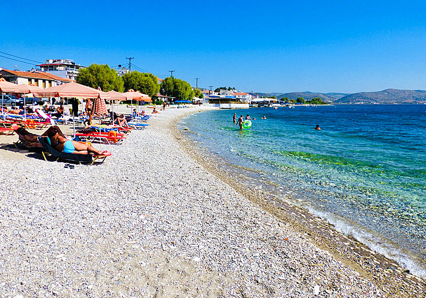 The best beaches in Samos. Ireon beach.