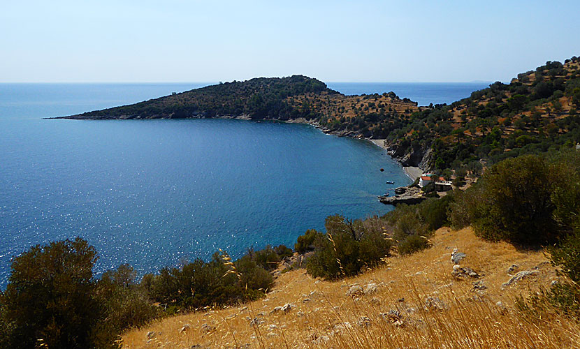 You are offered beautiful views along the coast along the road to the Taverna at the end of the world in Samos.