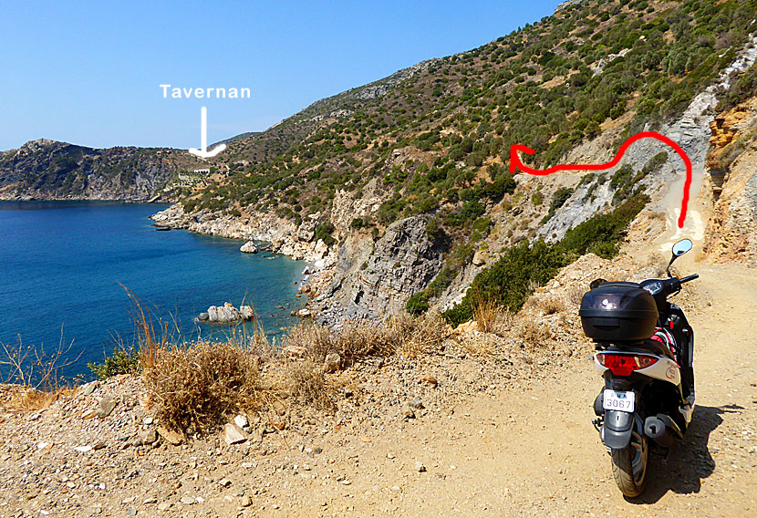 The road to the Taverna at the end of the world in Samos.