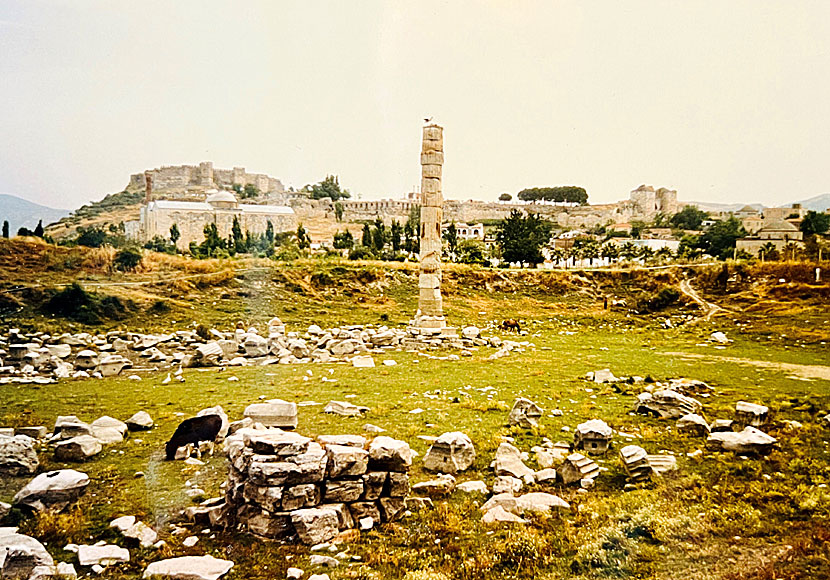 From Samos you can take a day trip to the ancient city of Ephesus in Turkey.