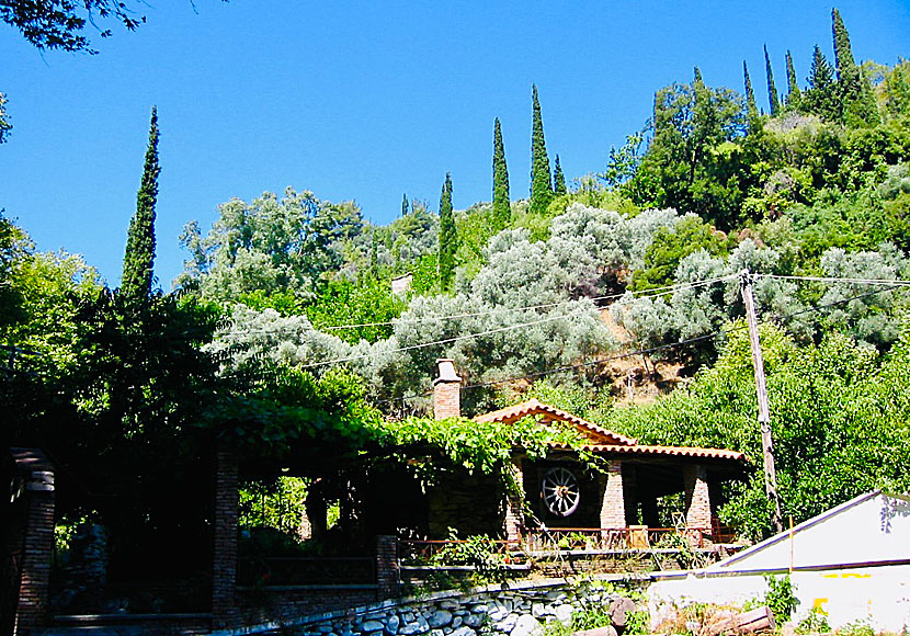 Hike in the Valley of Nightingales near Manolatos on Samos