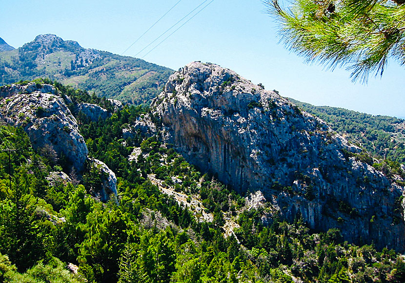 Along the road to Drakei on Samos, the landscape is wild and beautiful.