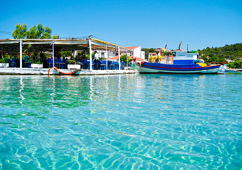 Taverna Posidonio on east Samos.