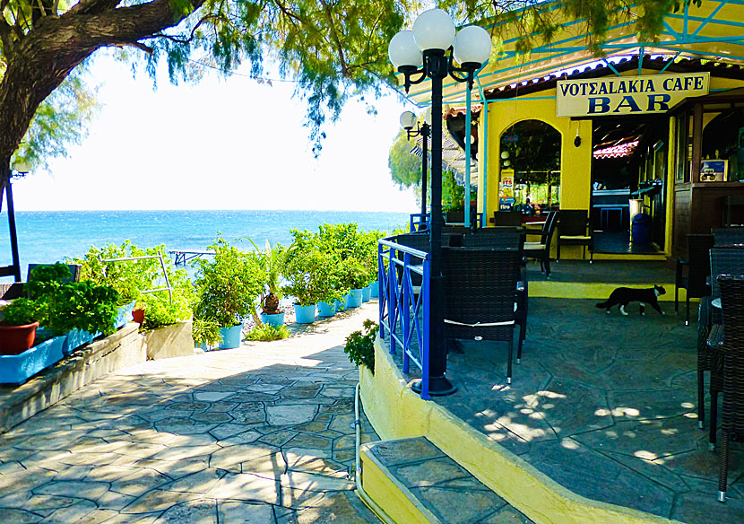 Votsalakia Cafe Bar in Votsalakia on western Samos.