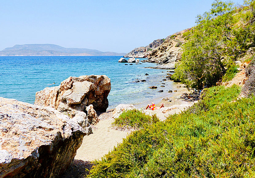 If you hike on Schinoussa you will find small solitary beaches such as Kalimera beach.