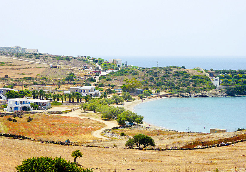 Above the fine beach Livadi on Schinoussa are several hotels and restaurants.