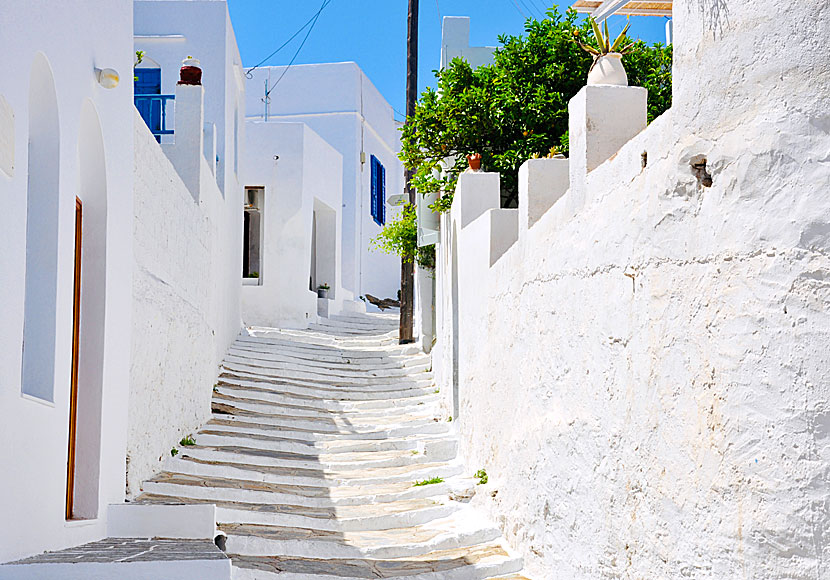 Cycladic architecture in Apollonia on Sifnos.