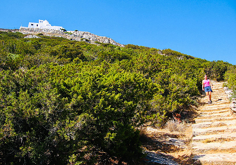The hike to the excavations of Agios Andreas on Sifnos takes 25 minutes to walk.