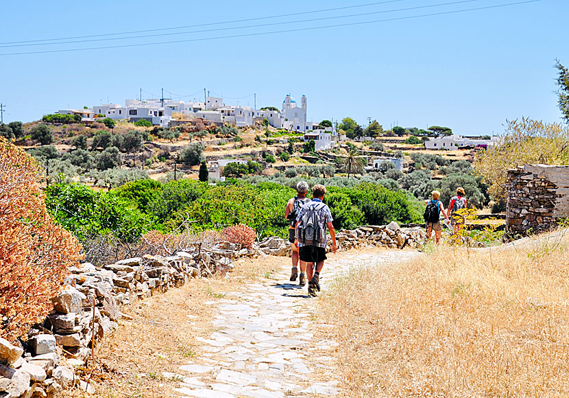 Hikes on Sifnos in the Cyclades.