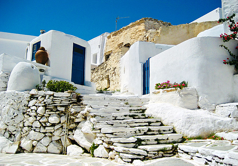 According to the latest census, 260 people live on Sikonos. A few of them live in Chorio.