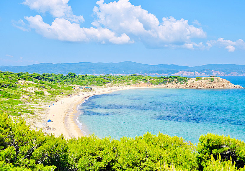 Elias beach on northern Skiathos in Greece.