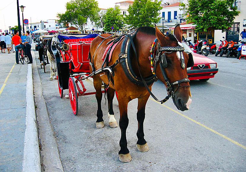 Ride a horse-drawn carriage along the harbour promenade in Skiathos town.