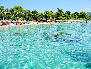 Koukounaries beach in Skiathos.