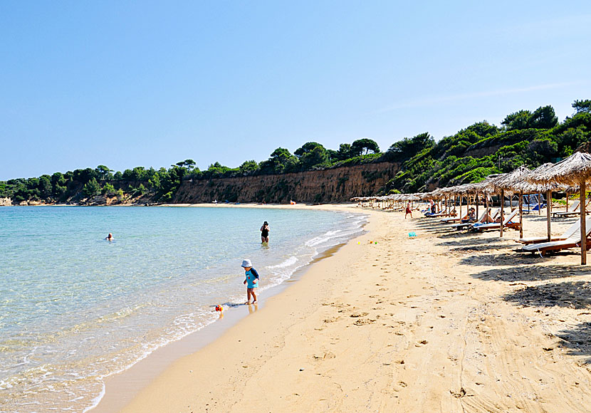 The child-friendly beach Mandraki on Skiathos in Greece.