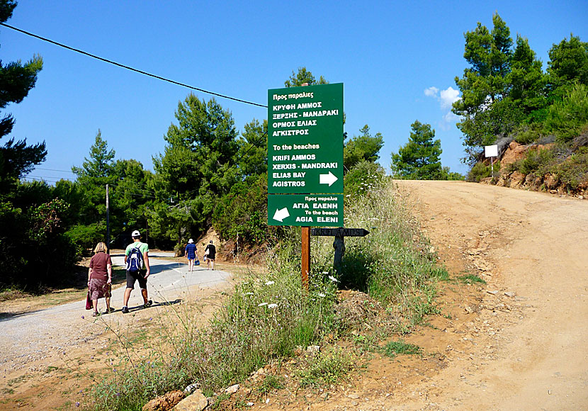 There is no bus service to any of the beaches on northwest Skiathos.