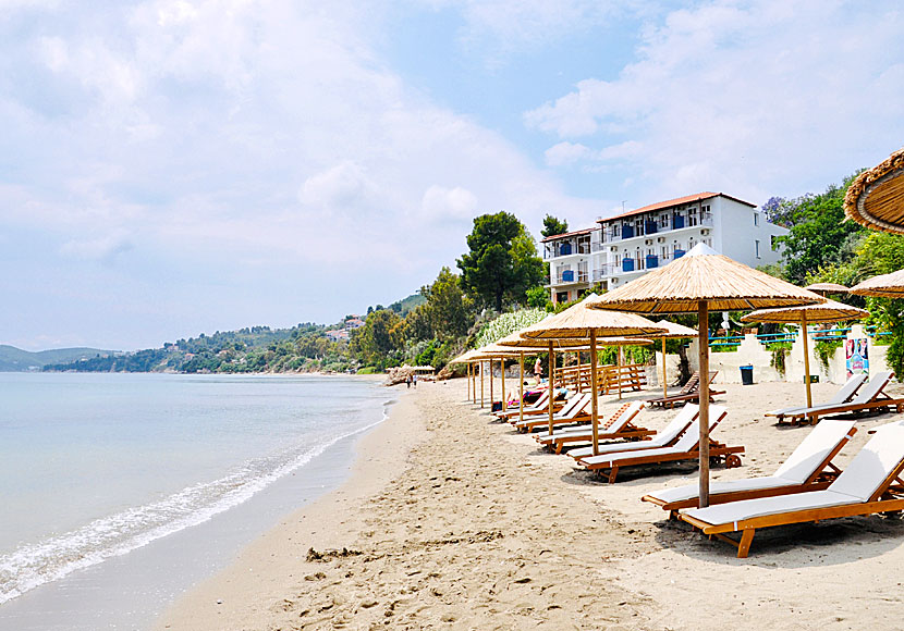 Megali Ammos beach on Skiathos in Greece.