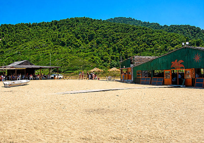 Tavernas and restaurants at Megalos Aselinos beach on Skiathos in Greece.