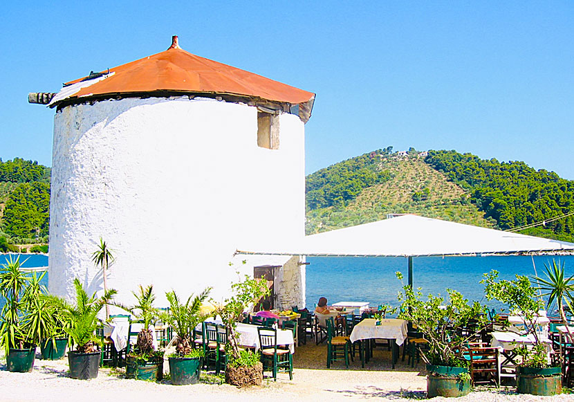 Mylos Taverna in Skiathos town