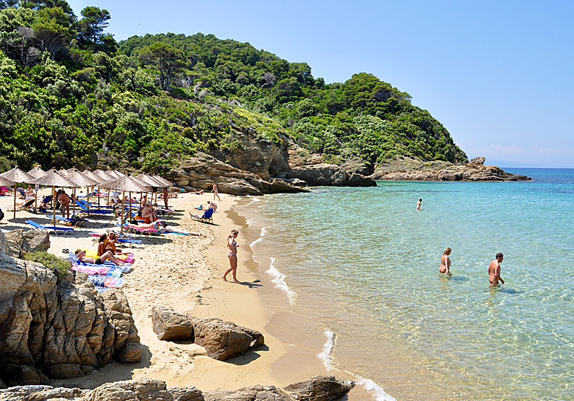 Nudist beach Banana on Skiathos in the Sporades.