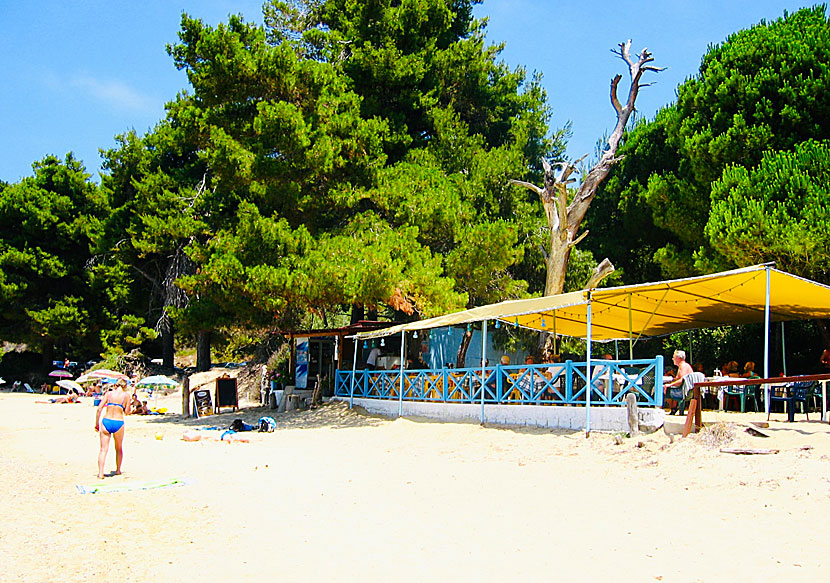 The taverna at Agia Eleni beach on Skiathos.