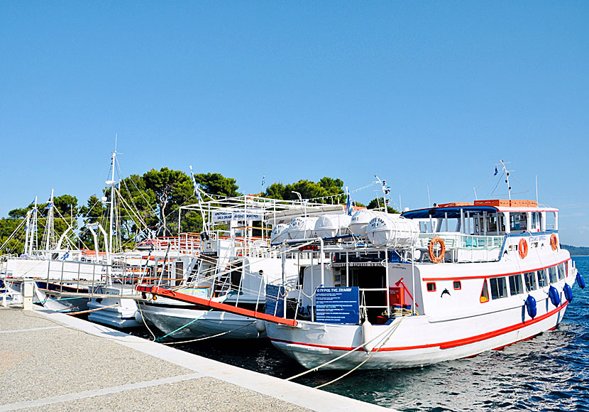 Beach and excursion boats in the small port in Skiathos town.