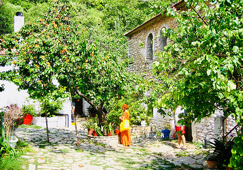 The Evangelistria Monastery is Skiathos' most important attraction.