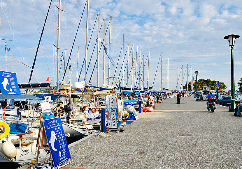 In Skiathos marina there are sailboats for excursions and private sailboats.