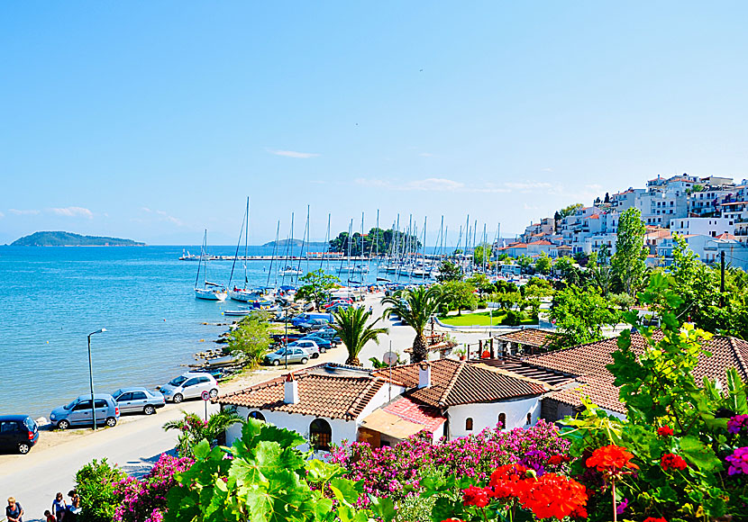 Skiathos town in the Sporades in Greece.