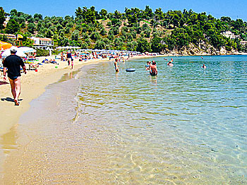 Nice child-friendly sandy beaches on Skiathos.