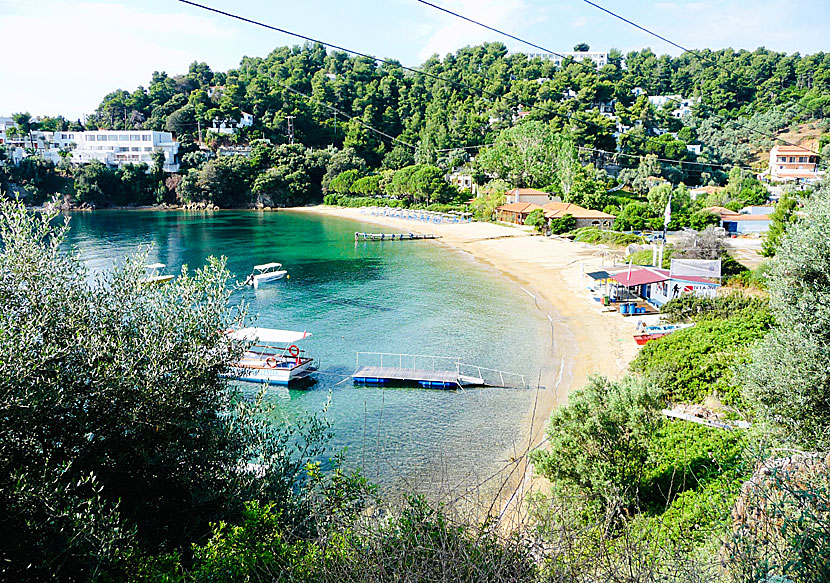 Tzaneria beach on Skiathos in the Sporades.