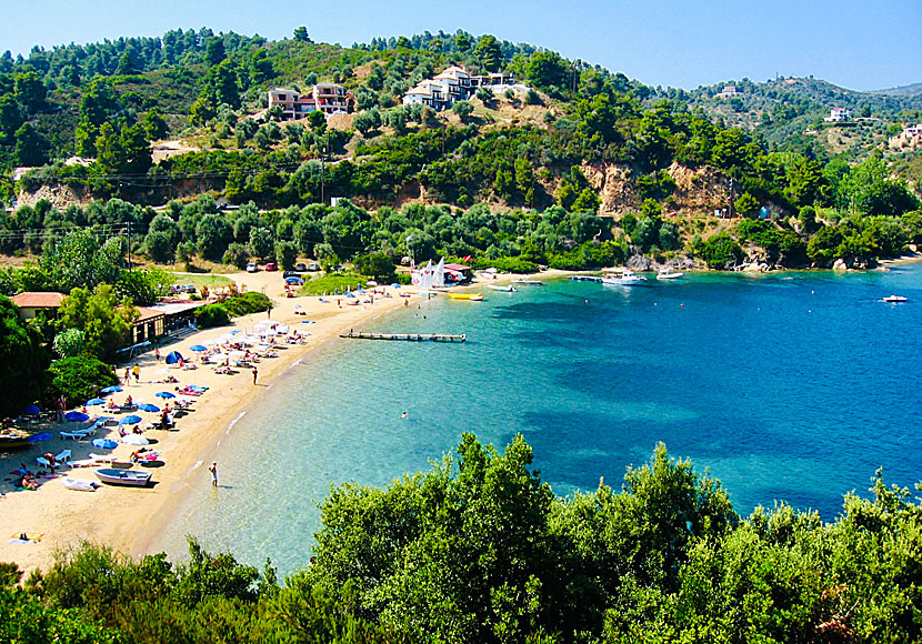 Tzaneria beach on Skiathos in Greece.