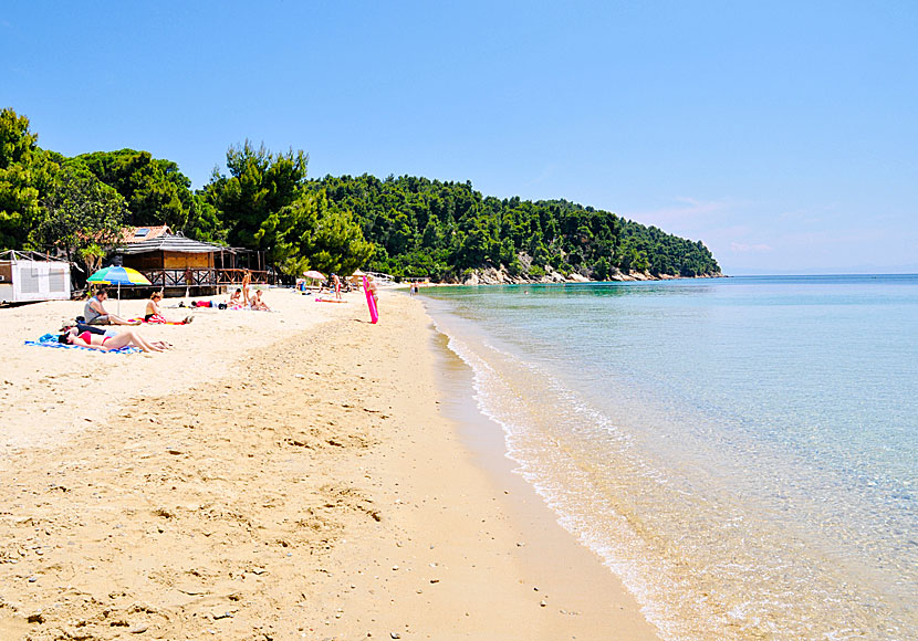 Vromolimnos beach on Skiathos in the Sporades.