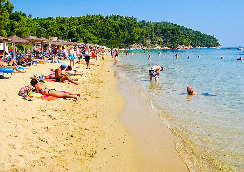 Vromolimnos is one of Skiathos' many child-friendly beaches.