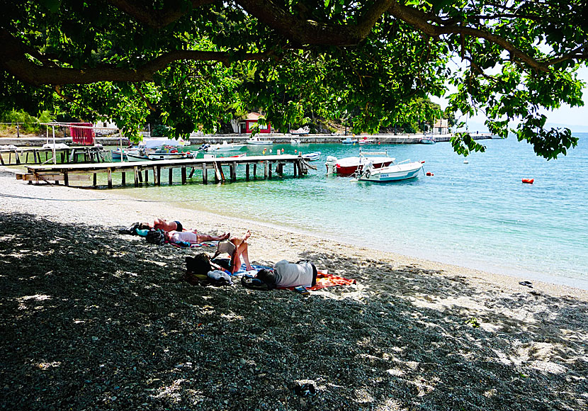 Relaxing under the trees at the beach at Agnontas on Skopelos.