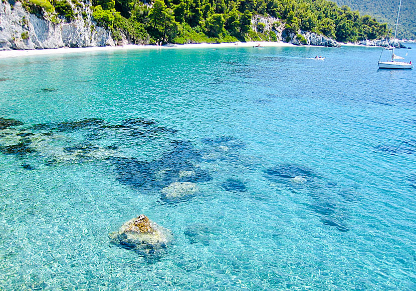 The best beaches on Skopelos. Megalo Pefko beach.