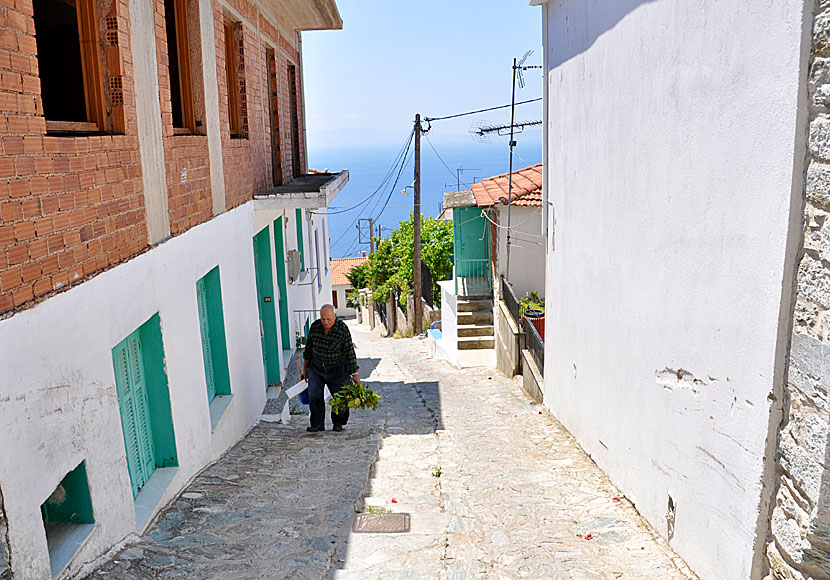 One of many steep alleys in car-free Glossa.