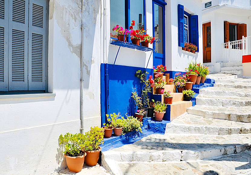 Flowers, alleys and stairs in Glossa on Skopelos in Greece.