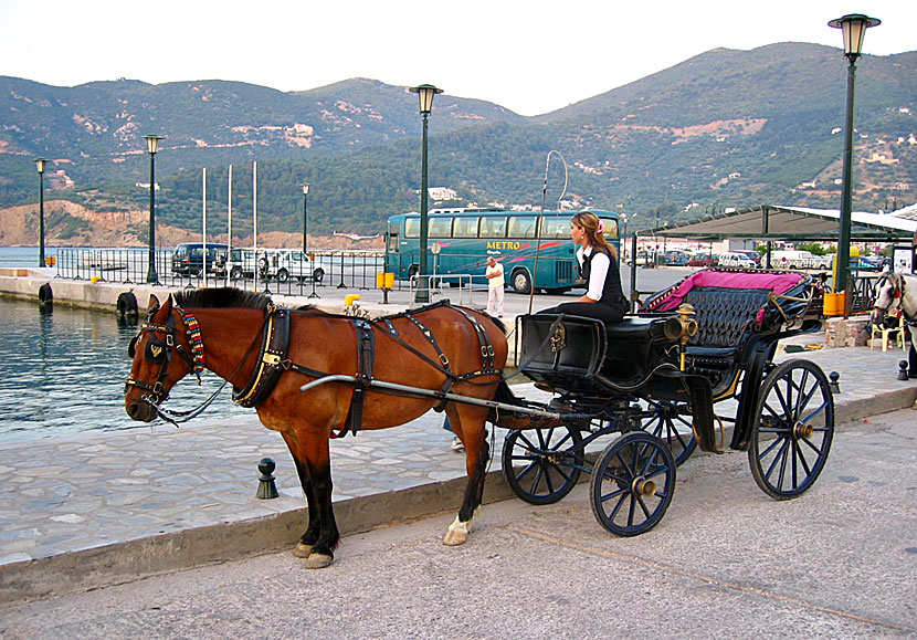 Ride a horse-drawn carriage along the port promenade in Skopelos town.