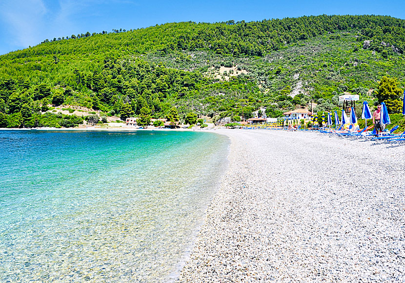 Panormos beach on Skopelos.
