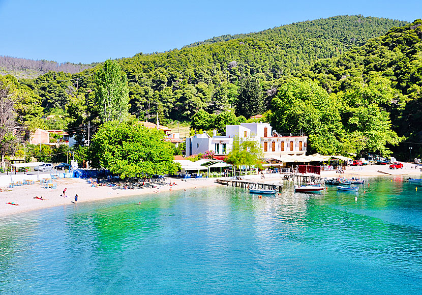 The delightful little fishing village of Agnontas on Skopelos.