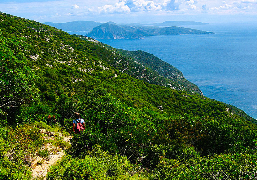 Skopelos offers very beautiful views during the hikes.