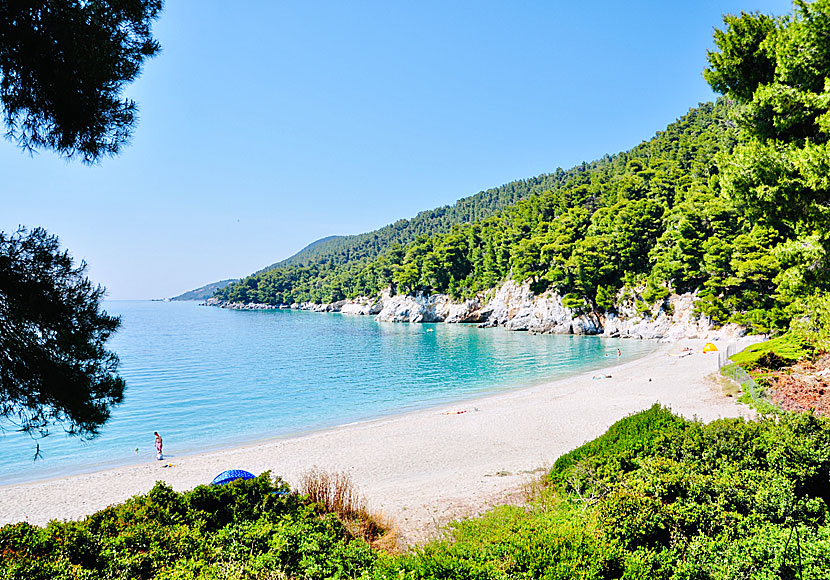 The best beaches on Skopelos. Kastani beach.