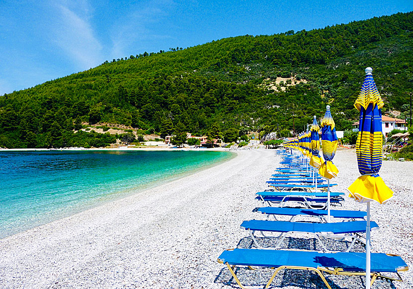 The beach of Panormos on Skopelos.